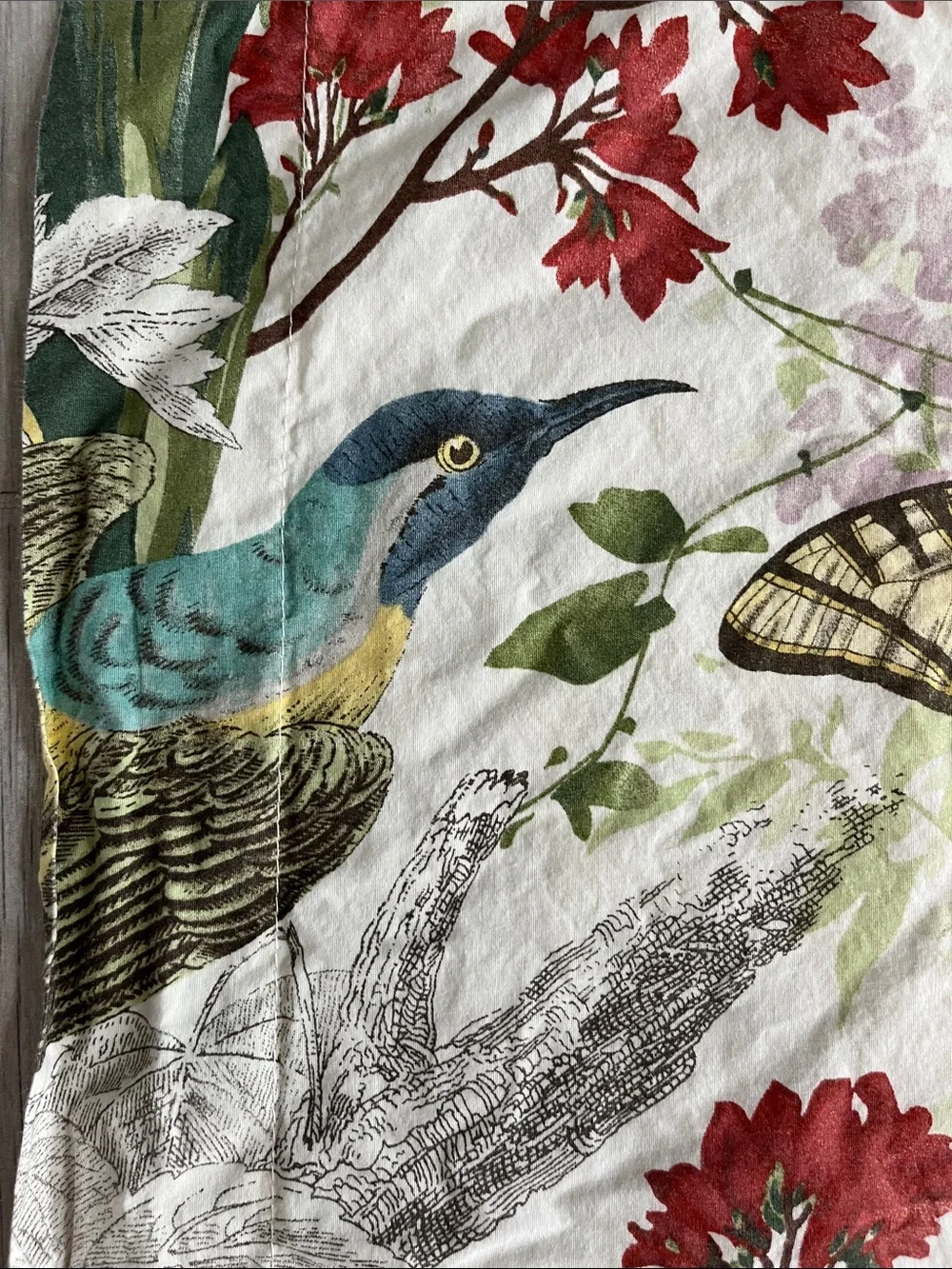 PotteryBarn vintage inspired floral bird garden oversize euro pillow sham cotton
